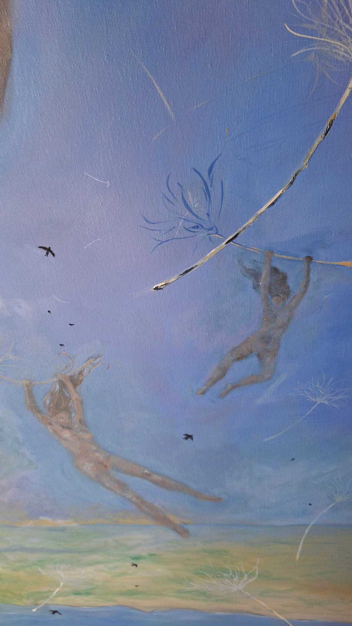 Ninfes voladores