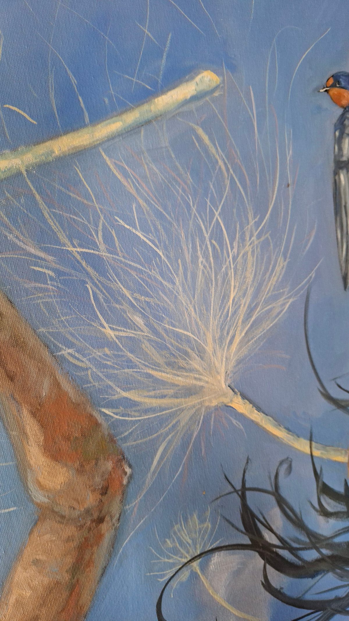 Ninfes voladores