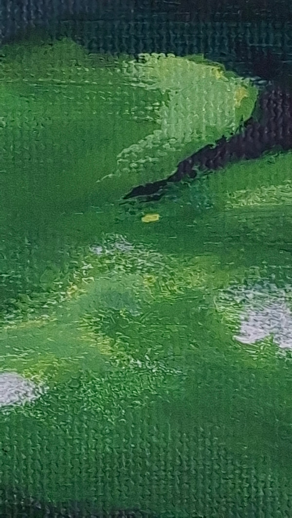 Nenufars