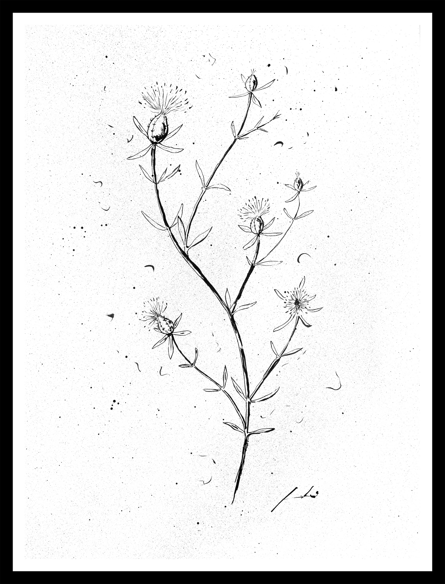 Bracera tinta china