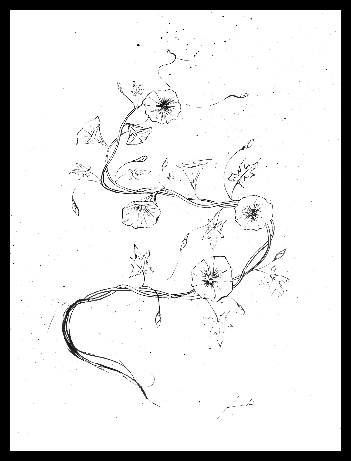Campanilla tinta china