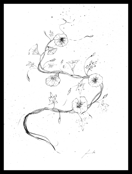 Campanilla tinta china